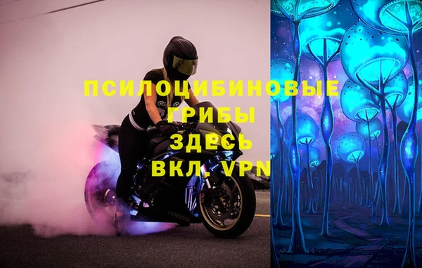 первитин Нея