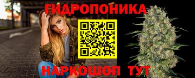 спиды Абакан