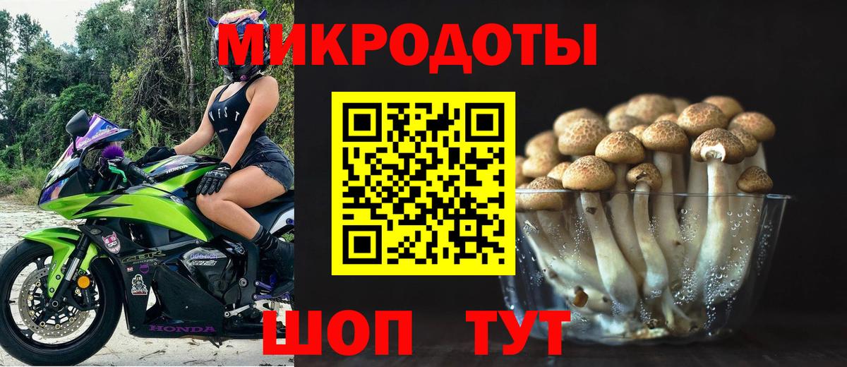 Псилоцибиновые грибы Psilocybine cubensis  Вход с VPN  купить наркотики сайты  Псилоцибиновые грибы Magic Shrooms  Ирбит 