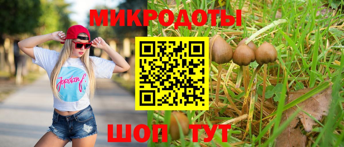 Галлюциногенные грибы Cubensis  Ирбит  Псилоцибиновые грибы GOLDEN TEACHER 