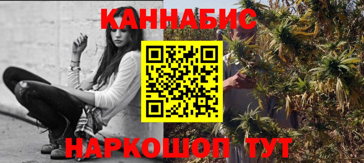 Марихуана сатива  Вход с VPN  Марихуана Bruce Banner  Канабис планчик  Ирбит 